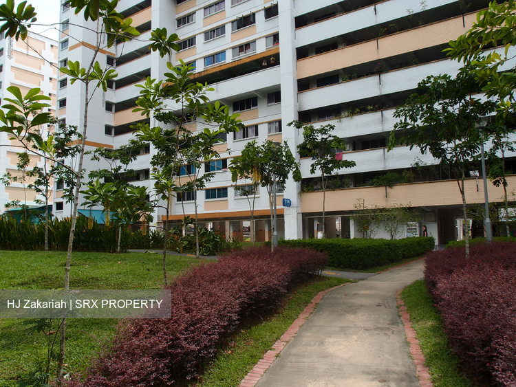 Blk 214 Petir Road (Bukit Panjang), HDB 3 Rooms #187452782